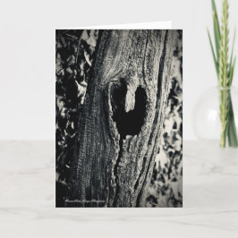 Befolgen Sie Ihre Herzgrußkarte mit Angebot Karte