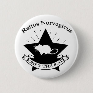 Befolgen Sie Knopf Button