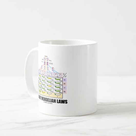 Befolgen Sie Mendelian Gesetze (Dihybrid Kaffeetasse (Vorderseite Links)