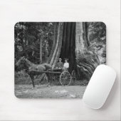 Beförderung im Hollow Tree Mousepad (Mit Mouse)