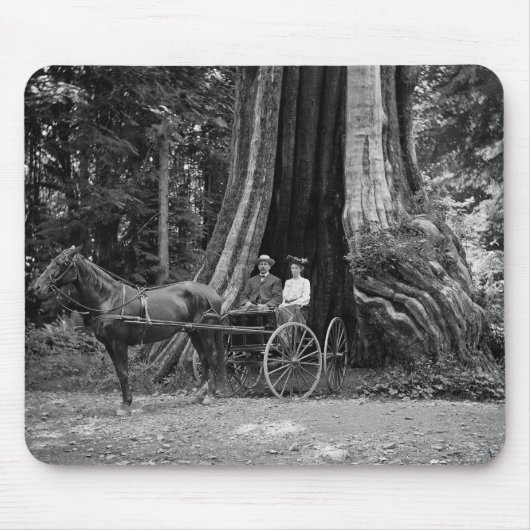 Beförderung im Hollow Tree Mousepad (Vorne)