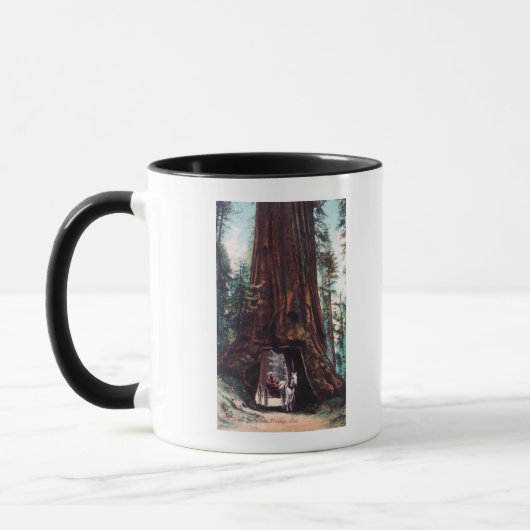 Beförderung unter einem riesigen Redwood Tasse (Links)