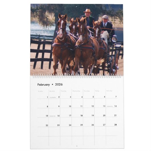 Beförderungsfahrt Kalender (Feb 2026)