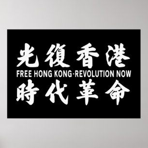 Befreien Sie die Hongkonger Revolution jetzt! Flag Poster