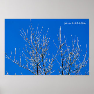 Befrosteter Baum Poster
