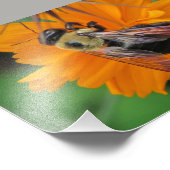 Befruchtung Foto Print 12x18 (Ecke)