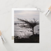 Befruchtungskarte für den Ozeanbaum Karte (Vorderseite/Rückseite Beispiel)