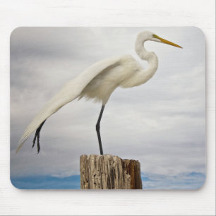 Begabter Strand des Reiher-  Fort Myers, Florida Mousepad