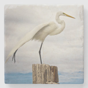 Begabter Strand des Reiher-  Fort Myers, Florida Steinuntersetzer