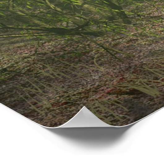 Begegnung mit Wäldern Poster (Ecke)