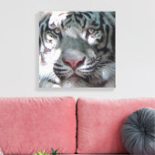Begegnung mit White Tiger Leinwanddruck (Insitu (Wohnzimmer))