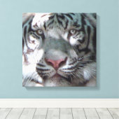 Begegnung mit White Tiger Leinwanddruck (Insitu (Holzboden))