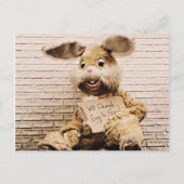 Beggar Bunny, Rabbit Anzug, Funny Postkarte (Vorderseite)