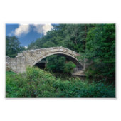 Beggar's Bridge, Glaisdale Fotodruck (Vorne)