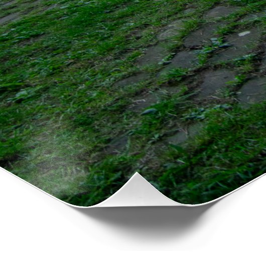 Beggar's Bridge, Glaisdale Poster (Ecke)