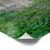 Beggar's Bridge, Glaisdale Poster (Ecke)