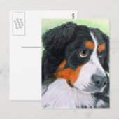 Beging Bernese Postkarte (Vorne/Hinten)