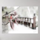 Beginn Poster (Vorne)