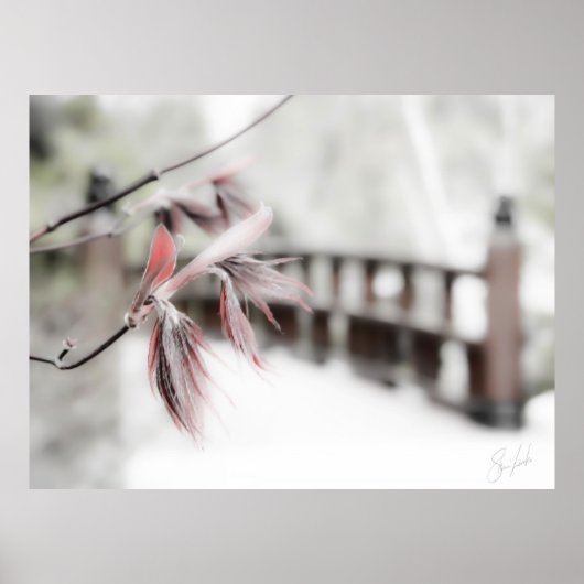 Beginn Poster (Vorne)