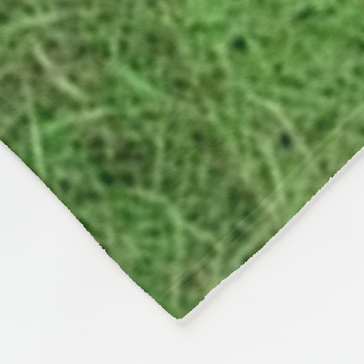 BEGINNEN, MIT DER VERWENDUNG IN IT Fleece Blanket (Ecke)