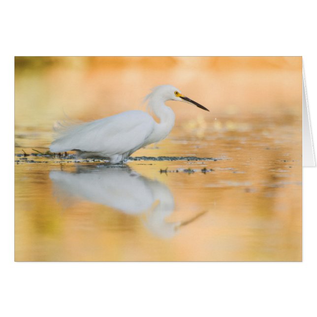 Beginnen Sie, wenn die Sonne untergeht (Vorderseite (Horizontal))