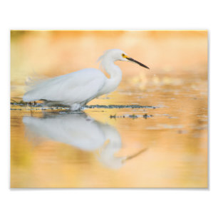 Beginnen Sie, wenn die Sonne untergeht Fotodruck