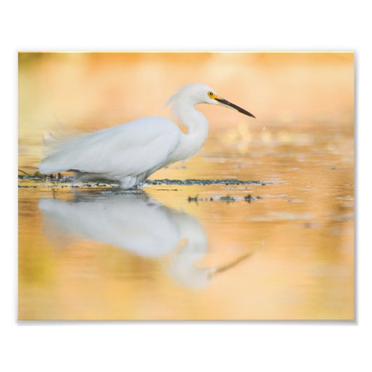 Beginnen Sie, wenn die Sonne untergeht Fotodruck (Vorne)