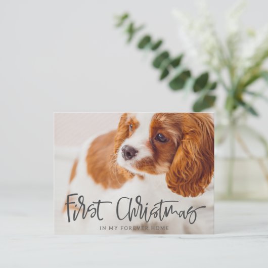 Begleiter Erste Weihnachten in Forever Zuhause Fot (Stehend Vorderseite)