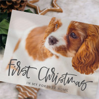 Begleiter Erste Weihnachten in Forever Zuhause Fot