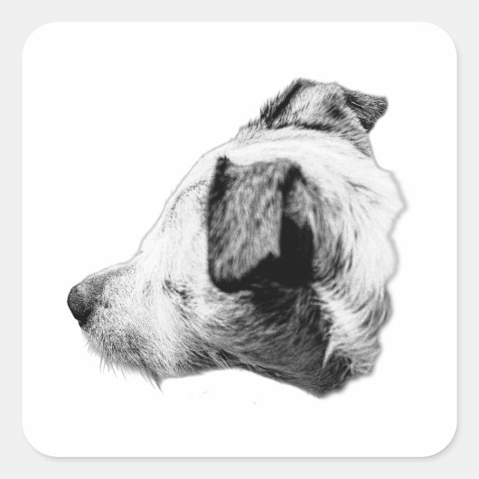 Begleiter in Profil Quadratischer Aufkleber (Vorderseite)
