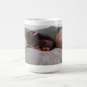 Begleiter Kaffeetasse (Mittel)