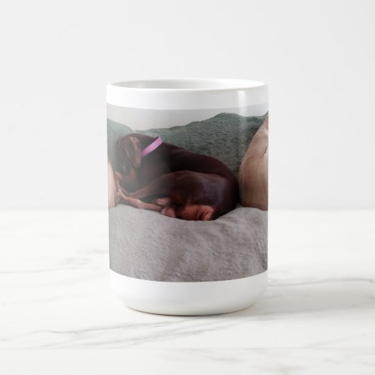 Begleiter Kaffeetasse (Mittel)