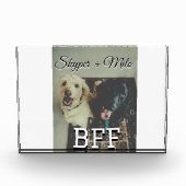 Begleithelfer tragen den Namen Foto Tier Liebe hin (Vorderseite)