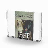 Begleithelfer tragen den Namen Foto Tier Liebe hin (Rechts)