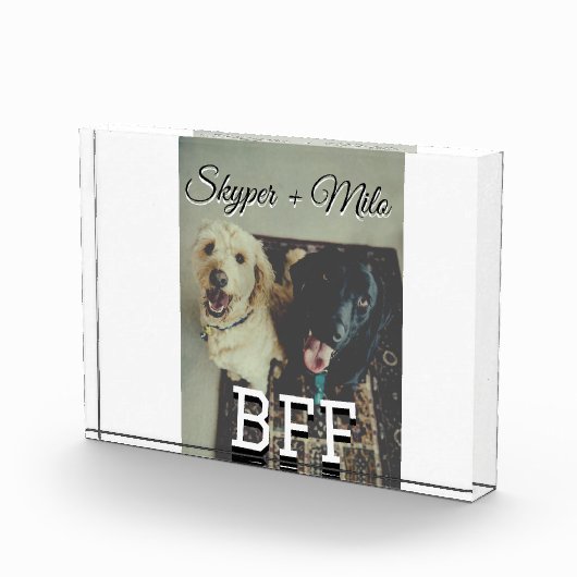 Begleithelfer tragen den Namen Foto Tier Liebe hin (Rechts)