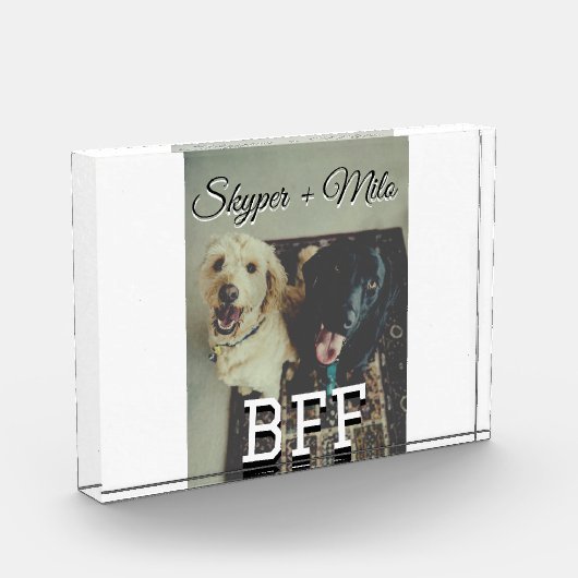 Begleithelfer tragen den Namen Foto Tier Liebe hin (Links)