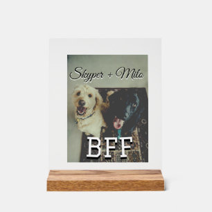 Begleithelfer tragen den Namen Foto Tier Liebe hin Acrylschild