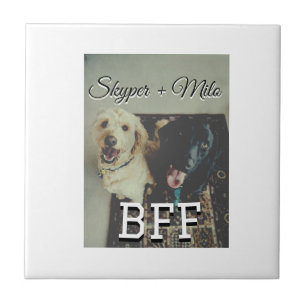 Begleithelfer tragen den Namen Foto Tier Liebe hin Fliese