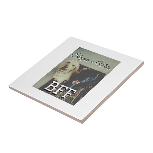 Begleithelfer tragen den Namen Foto Tier Liebe hin Fliese (Seite)