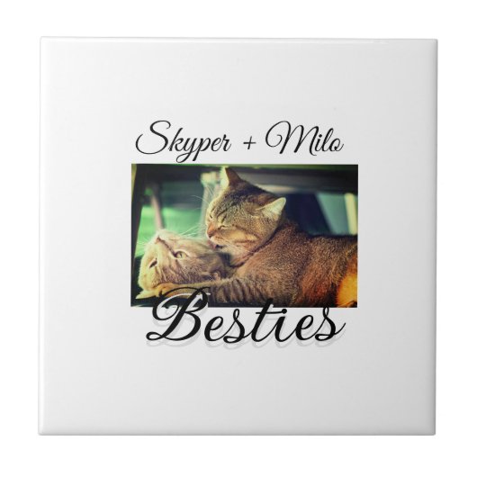 Begleithelfer tragen den Namen Foto Tier Liebe hin Fliese (Vorderseite)