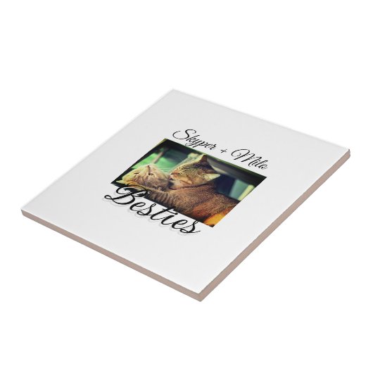 Begleithelfer tragen den Namen Foto Tier Liebe hin Fliese (Seite)