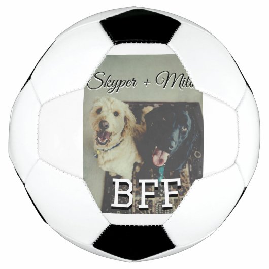 Begleithelfer tragen den Namen Foto Tier Liebe hin Fußball (Vorderseite)
