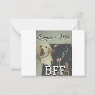 Begleithelfer tragen den Namen Foto Tier Liebe hin Mitteilungskarte