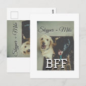 Begleithelfer tragen den Namen Foto Tier Liebe hin Postkarte (Vorne/Hinten)