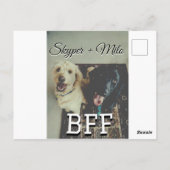 Begleithelfer tragen den Namen Foto Tier Liebe hin Postkarte (Rückseite)