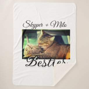 Begleithelfer tragen den Namen Foto Tier Liebe hin Sherpadecke