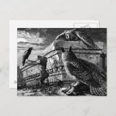 Begleitung zu Eulen Postkarte (Vorne/Hinten)