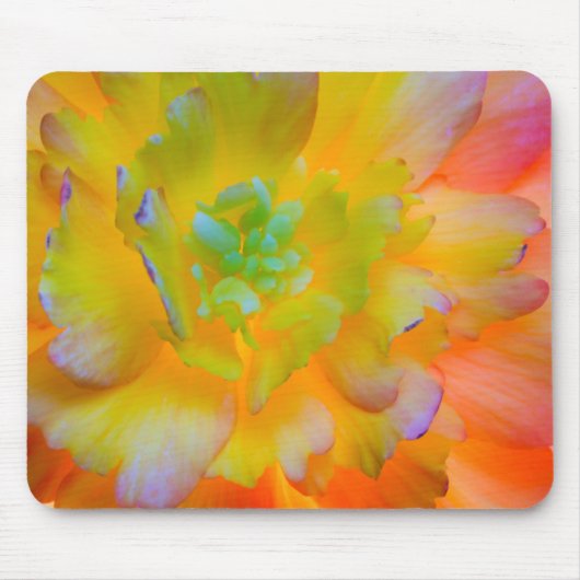 Begonia Blossom| Seabeck, WA Mousepad (Vorne)