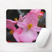 Begonia-Blume海 棠 Mousepad (Mit Mouse)