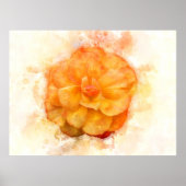 Begonia Blume Aquarell - wb2 Poster (Vorne)